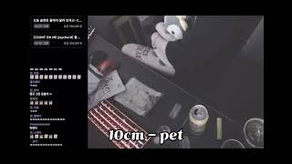 싸이코드 감제이  10cm  pet [upl. by Coke]