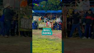 Very Funny 🤣 Bull Riding Game [upl. by Anelhtac934]