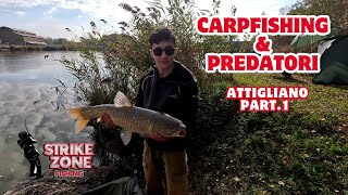 CARPFISHING e PREDATORI ad attigliano parte 1 [upl. by Deehsar322]