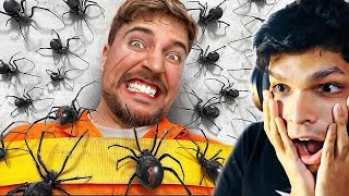 100 SPIDERS vs MAN scary challenge [upl. by Anirehtak826]