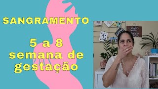 5 a 8 SEMANAS DE GESTACAO DE FIV SANGRAMENTO [upl. by Aihsa684]