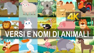 Impara i versi ed i nomi dei 40 animali in italiano risoluzione 4K [upl. by Mitchiner]