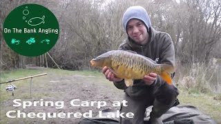 Carp fishing in spring  Chequered lake fishery [upl. by Binah]