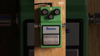 Ibanez TS9 Tube Screamer [upl. by Neeuq]