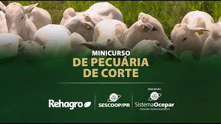 SescoopPR e Rehagro treinamento de excelência [upl. by Annanhoj]