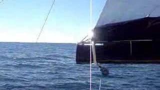 Sailing  Outhaul Adjustment and Function [upl. by Michaud]