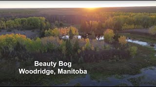 Flying over Beauty Bog near Woodridge [upl. by Sheley78]