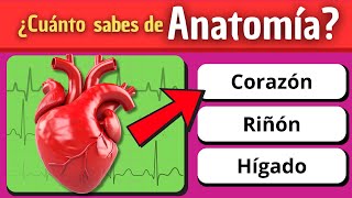 ¿Puedes GANAR este DESAFÍO de Anatomía  Test rápido  🤓🤯 [upl. by Dominick]