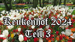 Keukenhof 2024 Teil 3 [upl. by Atteve]