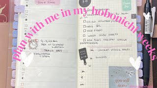 Plan with me in my hobonichi weeks [upl. by Novick160]