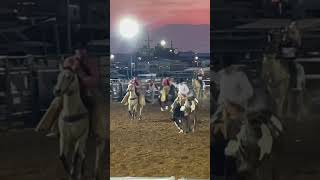 Saddle Bronc Rider Riding A Bronc Rank Riderodeo cowboys horse broncs shorts [upl. by Hentrich]