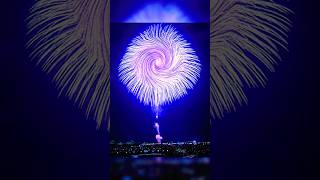 The biggest Firework 💀🎇🙏🏻 foryou viralshort viralvideo aura skull funk fireworks [upl. by Suanne]