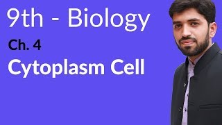 9th Class Biology  Chapter 4  Cytoplasm Cell [upl. by Trudie]