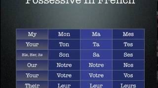 French Possessive Adjectives [upl. by Phonsa]