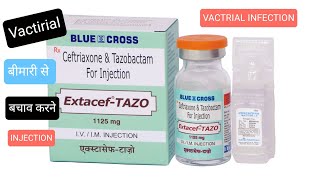 ExtacefXL Ceftriaxone ampSulbactam For Injection की पूरी जानकारी [upl. by Saixela405]