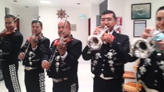 Mañanitas a las madres mariachi de la MARINA [upl. by Roshan164]