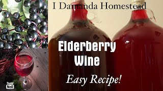 Make Elderberry Wine with this Easy Recipe Join us idamandahomestead4221 [upl. by Ajram]