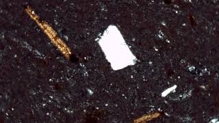 Porphyritic Rhyolite Crossed Polars [upl. by Sidwohl123]