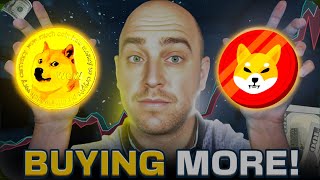 Buying More Why Dogecoin and Shiba Inu are Pumping Today [upl. by Perice]