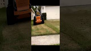 How to Fix a Scalped Lawn [upl. by Pegasus1]