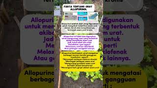 Fakta allopurinolasamurat youtubeshorts shortvideo obat yuoutubeshorts viralvideo game [upl. by Eitsyrk]