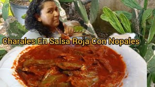 Charales En Salsa Roja Con Nopales Guisados En Chile Guajillo Receta EconómicoNutritiva Y Fácil [upl. by Vashti263]