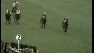 Bula 1972 Champion Hurdle [upl. by Drain]