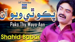 Pako Thi Wayo Aa  Shahid Ali Babar  Official Music Video  Arif Enterprises [upl. by Roz145]