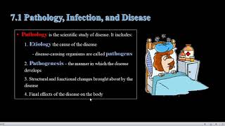 Chapter 7 Microorganisms and Disease Part 1 [upl. by Manton]