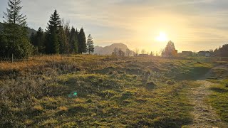 Moorrundweg in Oberjoch wanderweg wandernmithund wanderlust nature bergblick happydog [upl. by Billye948]