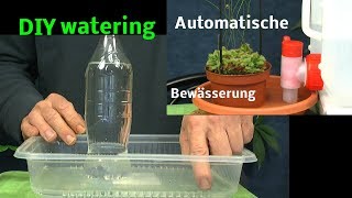 Automatische Bewässerung von Pflanzen DIY watering plants with bottles [upl. by Taimi]