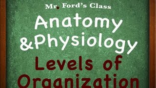 Introduction To Anatomy Physiology Levels of Organization 0103 [upl. by Larrad]