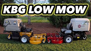 UNIQUE Lawn Mowers FACE OFF Low Mow KBG Which Mower Stripes The BEST [upl. by Kung284]