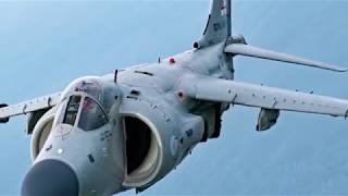 Marine vet flies personal Harrier jet at air shows [upl. by Annuhsal]