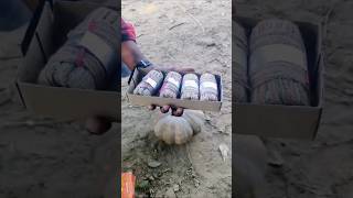 Firecrackers VS Pumpkin experiment shorts shortsfeed diwali firecracker [upl. by Nabal436]