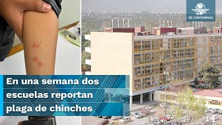 ¡Ahora en la UNAM Por chinches suspenden clases en la Facultad de Química [upl. by Sutton]