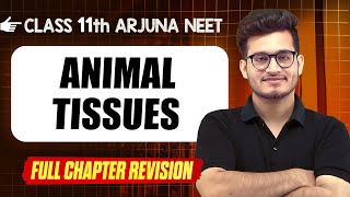 Animal Tissues  COMPLETE Chapter in 1 Video  Quick Revision  Class 11th Arjuna NEET [upl. by Nylqcaj]