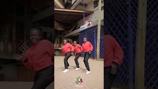 Maintain ivo ivo by Ssaru ft Trio mio Xtreem arena dance crew [upl. by Sheepshanks611]