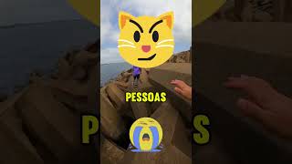 Se você vir este gato corra imediatamente 🐱🏃‍♂️ [upl. by Teddi235]