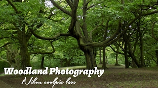 Woodland Photography nikon coolpix L340 camera [upl. by Rovit]