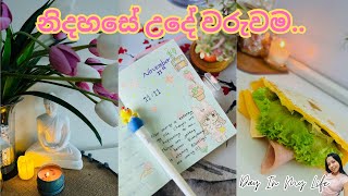 1111 දවස ගෙවුන විදිය  Morning Routine ☀️🌦️  Meal Prep  Skincare  Daily Vlog [upl. by Nuahs329]