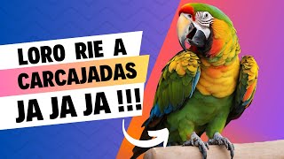 Loro ríe a Carcajadas 🦜 Diversión Asegurada con este Hilarante Loro [upl. by Brahear711]