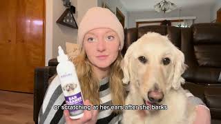 Ear Cleaner Lavender  Chamomile for dogs amp cats [upl. by Carlstrom]