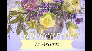 DIYHERBSTDEKO GLOCKENREBE Cobaea Scandens amp Astern amp Gräser [upl. by Ryter274]