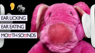 ASMR Ear Licking and Ear Eating by Pinky 耳舐め Mouth Sounds 3dio No Talking [upl. by Waverly]