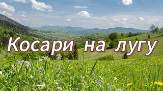 🎶КОСАРИ НА ЛУГУ🎶ХРИСТИАНСКОЕ ПЕНИЕ🎶Братья из Михайловки [upl. by Rozele]