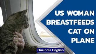 Woman breastfeeds cat on a flight making passengers feel uncomfortable  Oneindia News [upl. by Burkhard751]