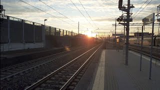 Stazione di PioltelloLimito transiti di treni con un bellissimo tramontoBuona visione [upl. by Heman]