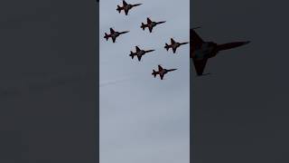 Fliegen in Perfektion Patrouille Suisse [upl. by Ahseina935]