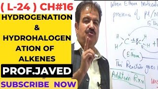 Catalytic Hydrogenation amp Hydrohalogenation of Alkenes  L24  2nd year Chemistry  By ProfJaved [upl. by Magel]